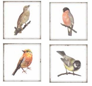 REVESTIMIENTO 15X15 FORLI BIRDS DECOR MIX IRREGULAR BRILLO (Espesor 6 mm) - FBR